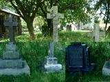 image of grave number 301181